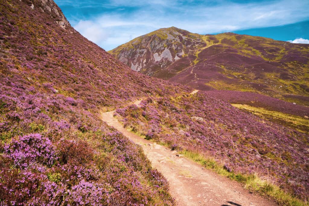 Things to do in Aviemore - Hiking