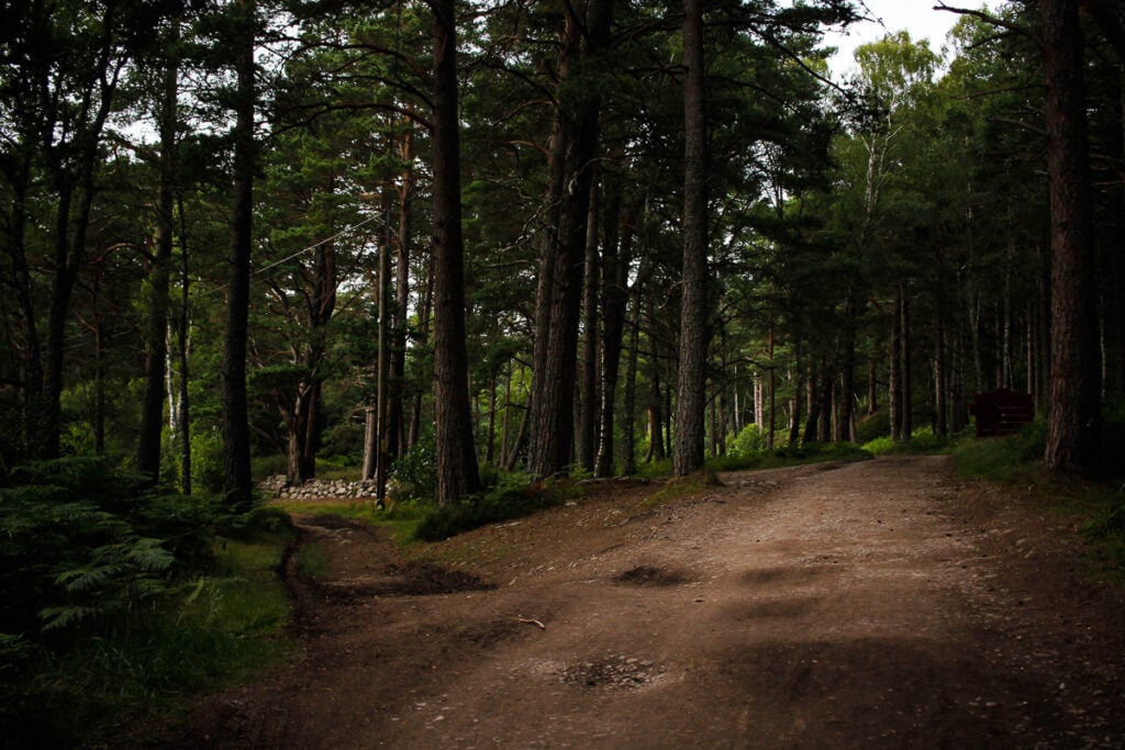 Things to do in Aviemore - Rothiemuchus Estate