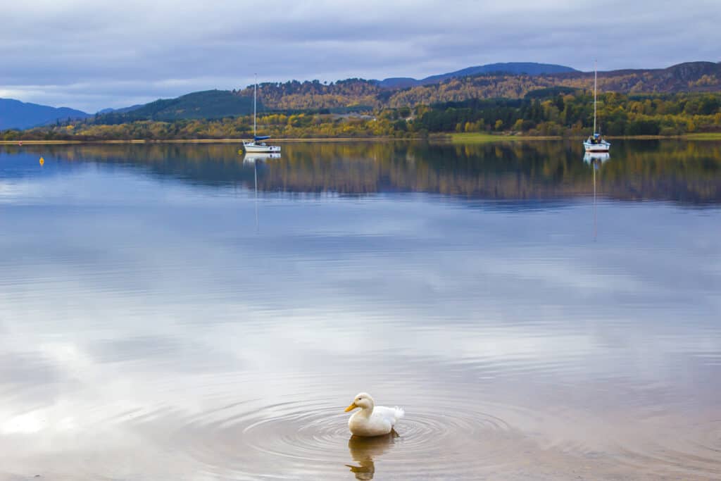 Things to do in Aviemore - Loch Morlich