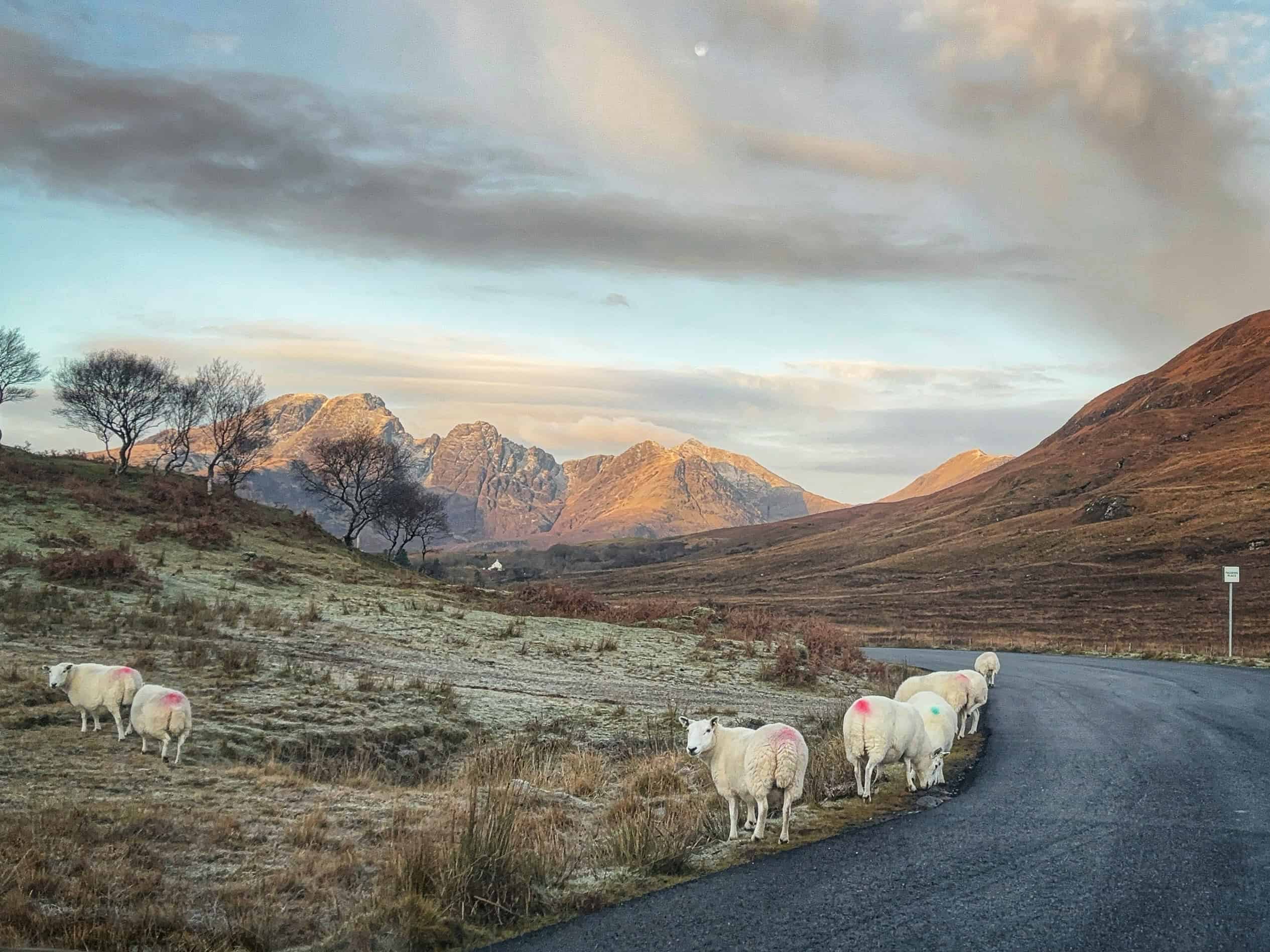Isle of Skye Workshop